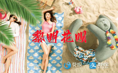 不知去向花呗